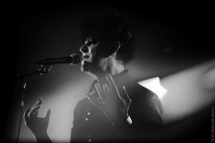 Xymox_A3672_EGabrielEdvy_inet