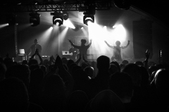 Xymox_B3031_EGabrielEdvy_inet