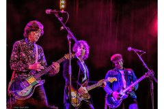 Flamin' Groovies