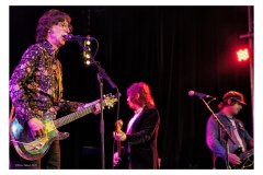 Flamin' Groovies