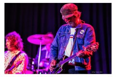 Flamin' Groovies
