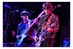Flamin' Groovies