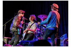 Flamin' Groovies