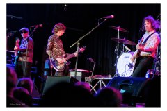 Flamin' Groovies