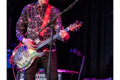 Flamin' Groovies