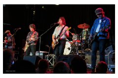 Flamin' Groovies