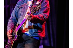 Flamin' Groovies
