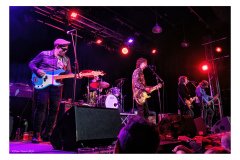 Flamin' Groovies