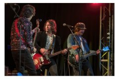 Flamin' Groovies