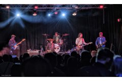 Flamin' Groovies
