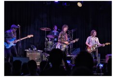 Flamin' Groovies