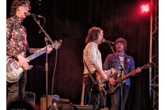 Flamin' Groovies