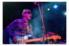 Flamin' Groovies