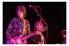 Flamin' Groovies