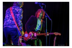 Flamin' Groovies