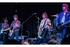 Flamin' Groovies