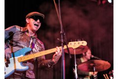 Flamin' Groovies