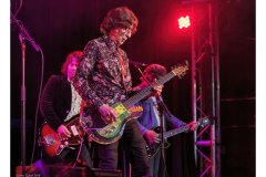Flamin' Groovies